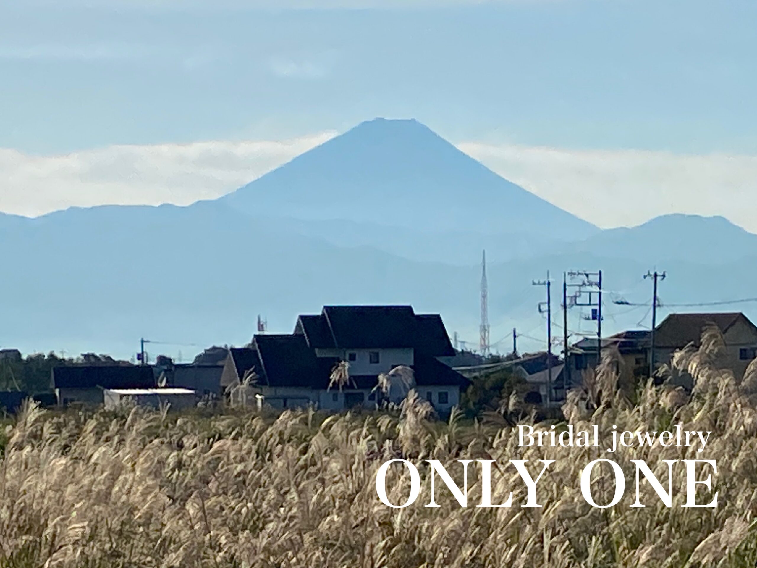 【山梨結婚指輪】ススキと富士山